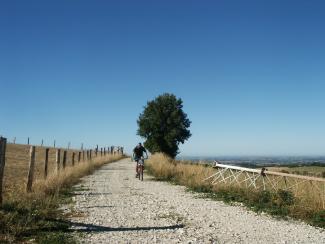 Chemin de randonnée des Cailloux blancs