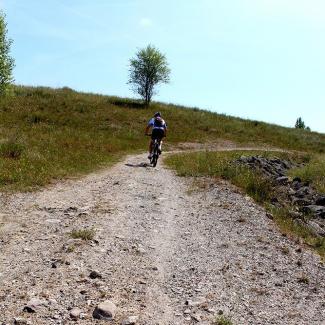 Chemin de randonnée