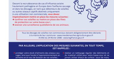 influenza aviaire