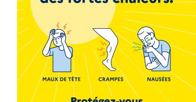 CANICULE