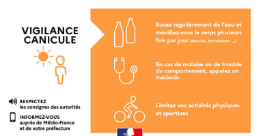 canicule